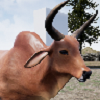 옷ϬţģM